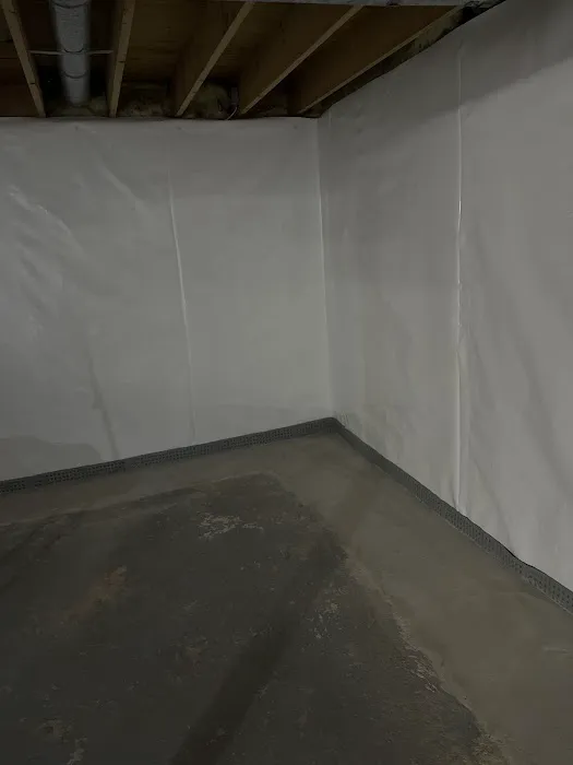 Basement Panther Picture 1