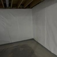 Basement Panther ico