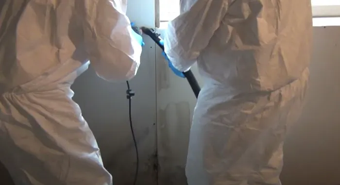 Certified Mold & Water Damage Restoration LLC Picture 7