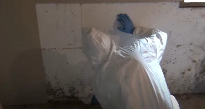 Certified Mold & Water Damage Restoration LLC Picture 3