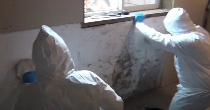 Certified Mold & Water Damage Restoration LLC Picture 5