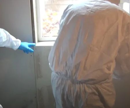 Certified Mold & Water Damage Restoration LLC