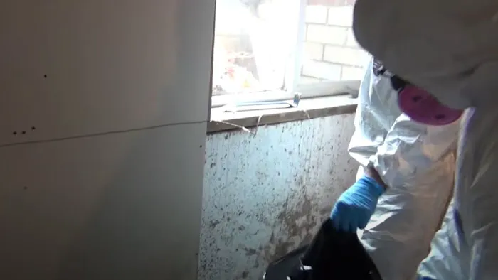 Certified Mold & Water Damage Restoration LLC Picture 4