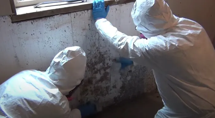 Certified Mold & Water Damage Restoration LLC Picture 10