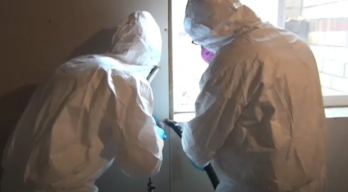 Certified Mold & Water Damage Restoration LLC Picture 8