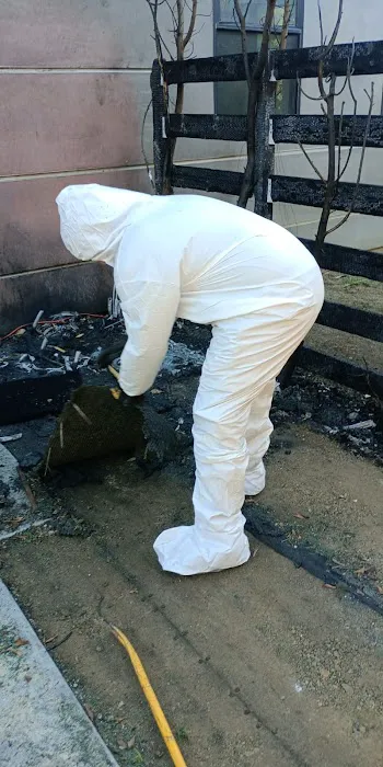 National water damage restoration Picture 2