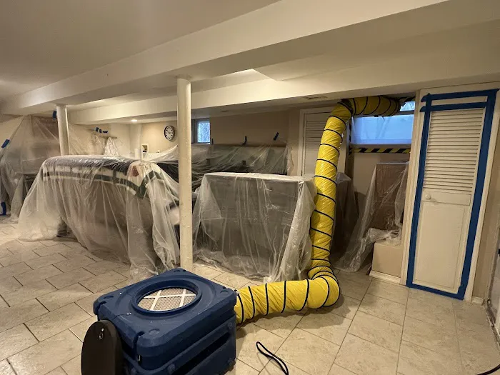 Green Guard Mold Specialist Elizabeth Picture 7