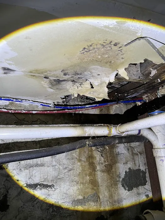 Green Guard Mold Specialist Elizabeth Picture 9