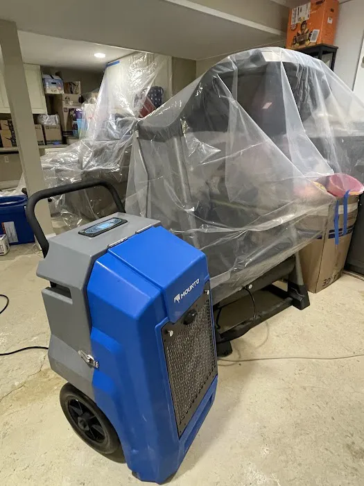 Green Guard Mold Specialist Elizabeth Picture 4