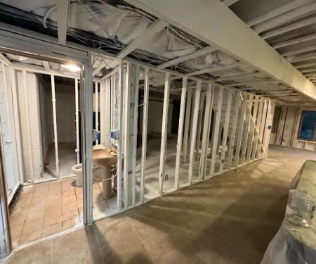 Green Guard Mold Specialist Elizabeth