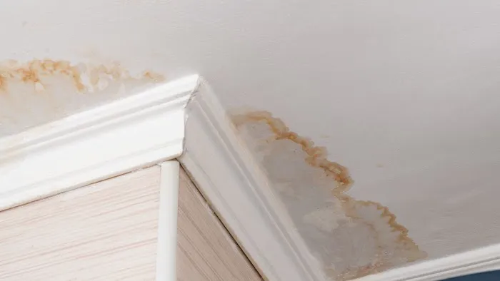 Dunham Water Damage Restoration Picture 4