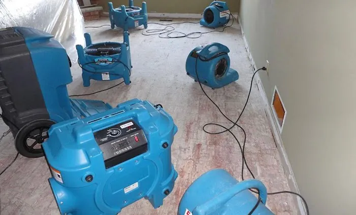 Green Guard Mold Remediation of Union Picture 2