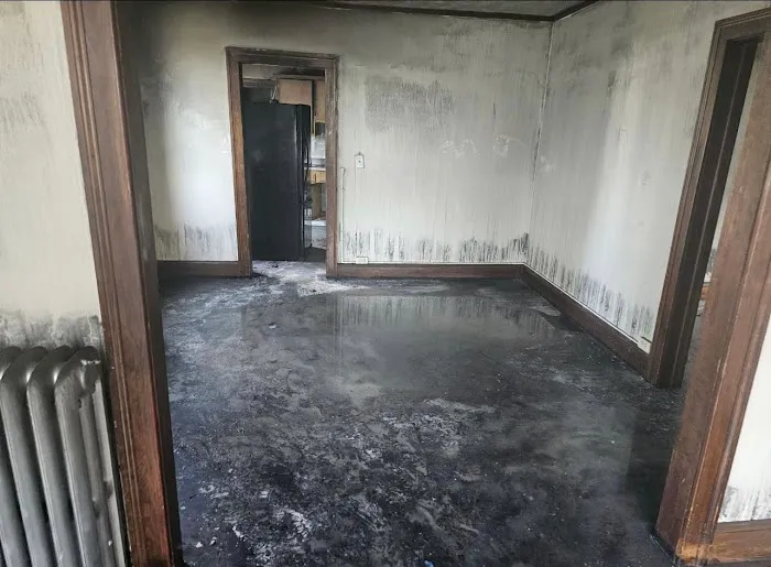 Green Guard Mold Remediation of Union Picture 5