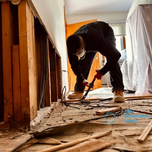 Elite Restoration Group Picture 2