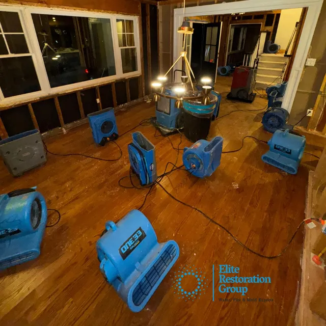 Elite Restoration Group Picture 3