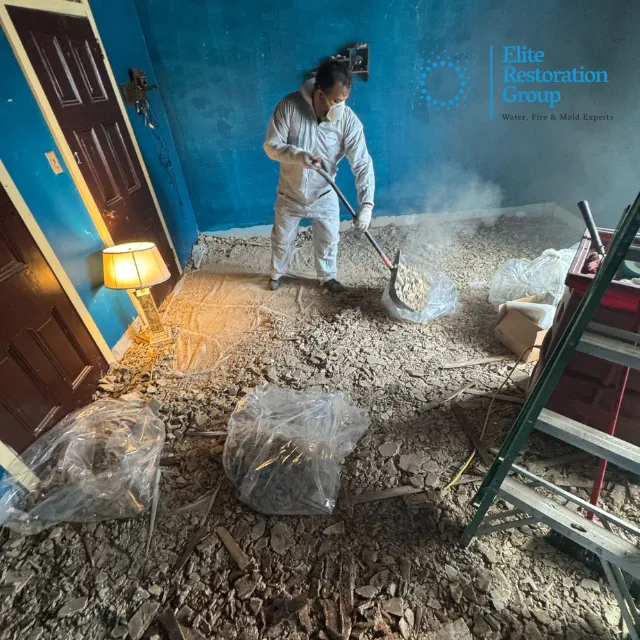 Elite Restoration Group Picture 6