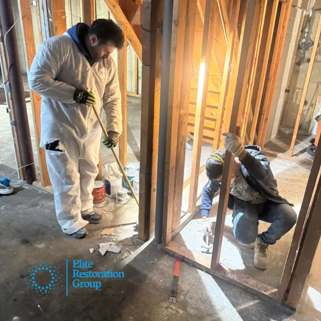 Elite Restoration Group Picture 10