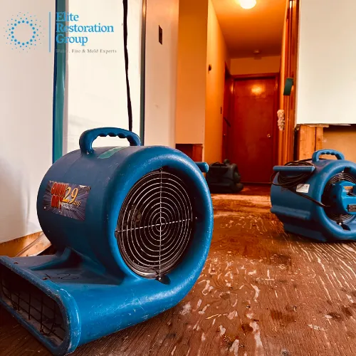 Elite Restoration Group Picture 5