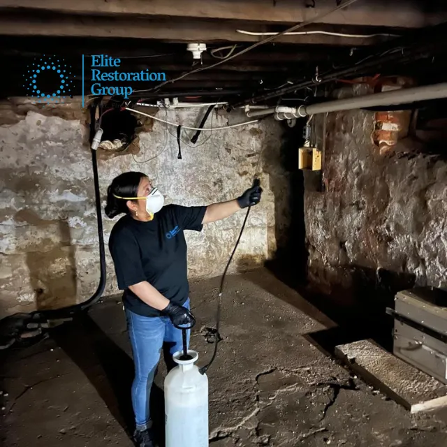 Elite Restoration Group Picture 4