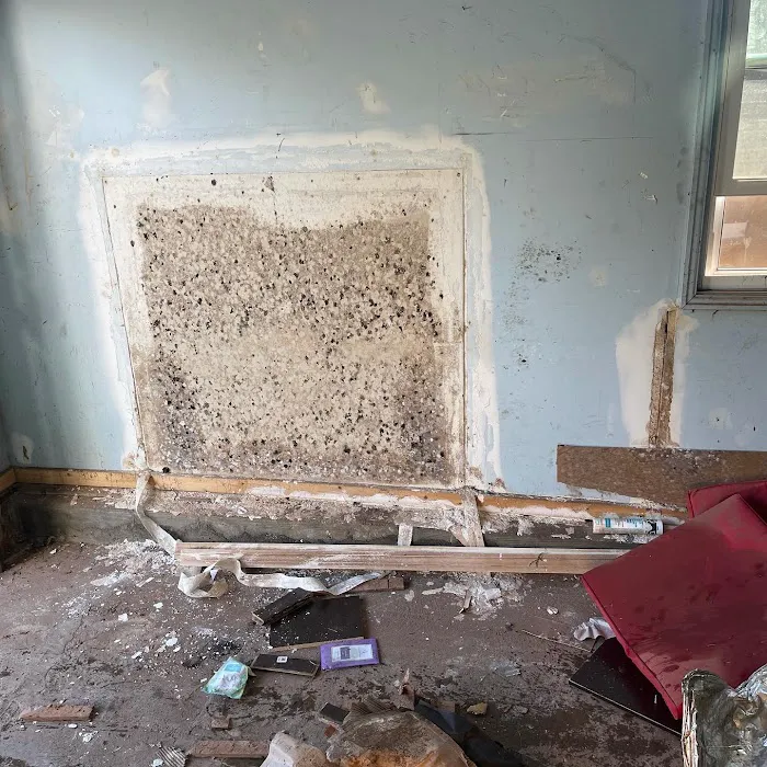 Cleanteckpros Picture 10