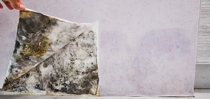 ServiceMaster Picture 9