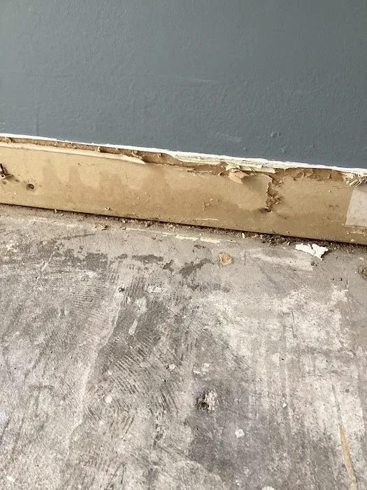 Lightspeed Restoration of Orange County Picture 3