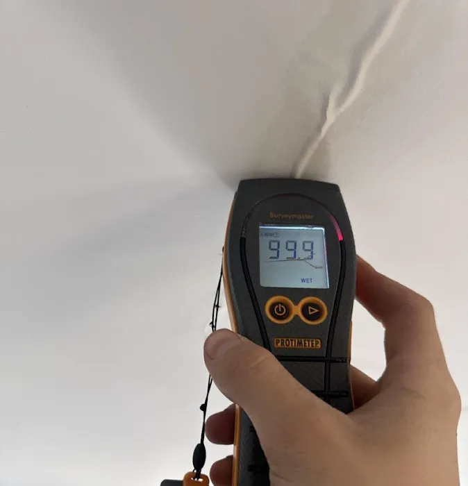 Lightspeed Restoration of Orange County Picture 4