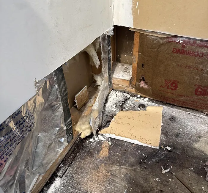 Lightspeed Restoration of Orange County Picture 6