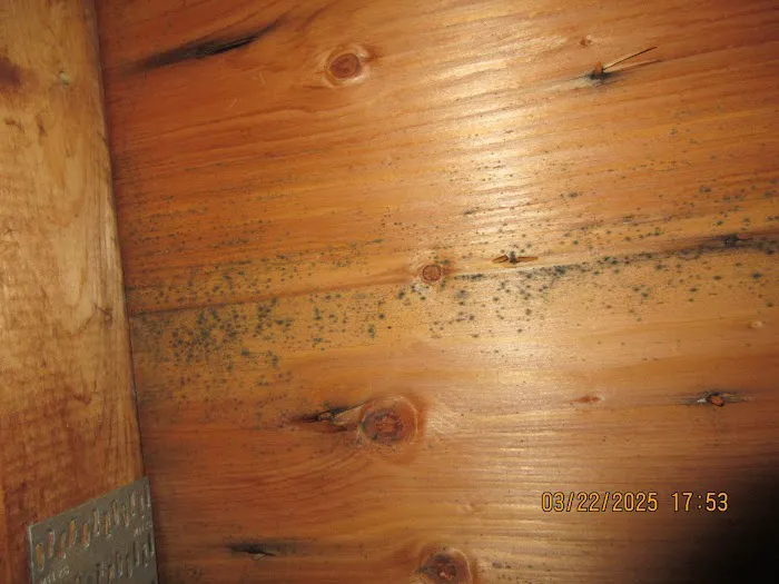 Utopia Restoration LLC Picture 4