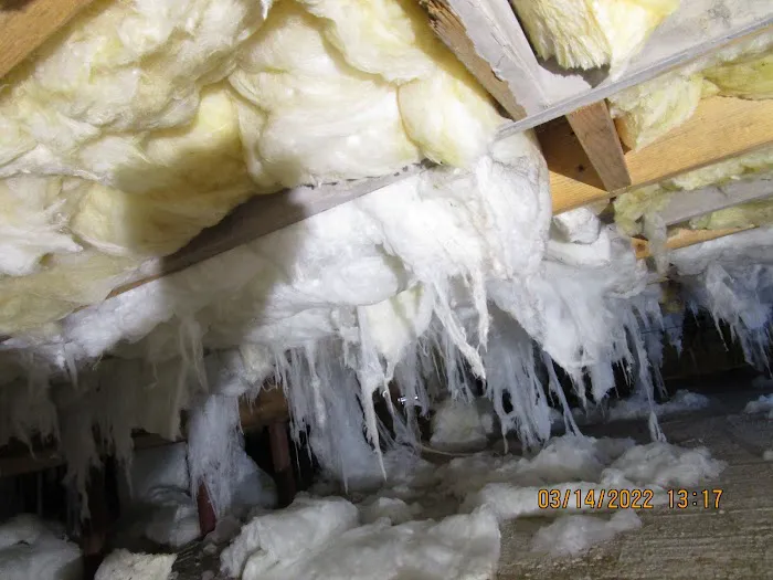 Utopia Restoration LLC Picture 1