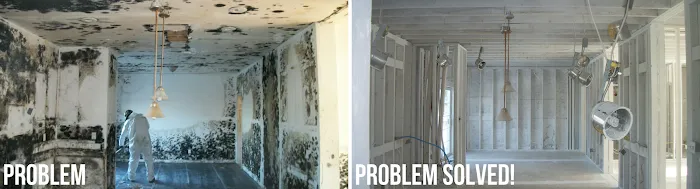 Haven Property Solutions Picture 3