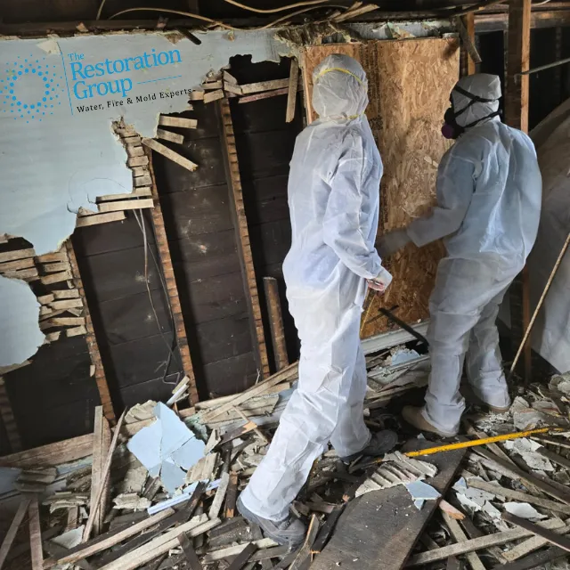 The Restoration Group Picture 4