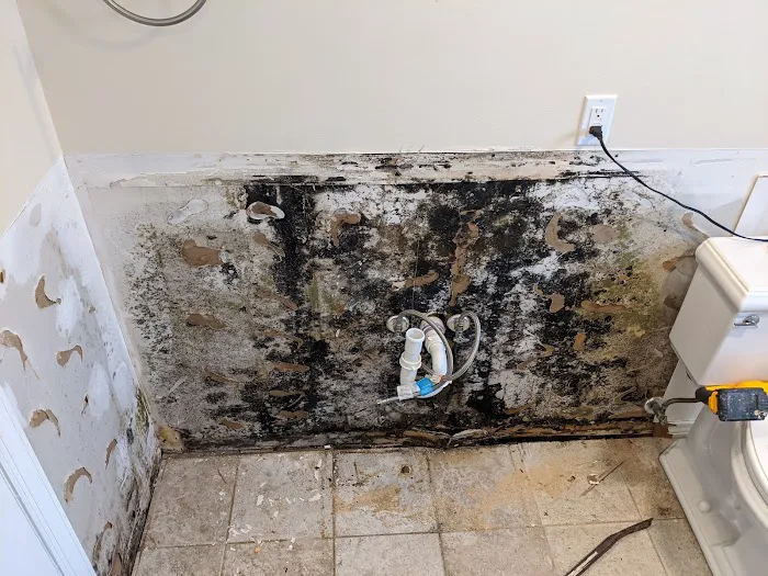 All Dry Restoration LLC Picture 1