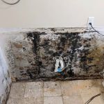 All Dry Restoration LLC