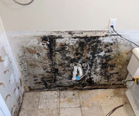 All Dry Restoration LLC