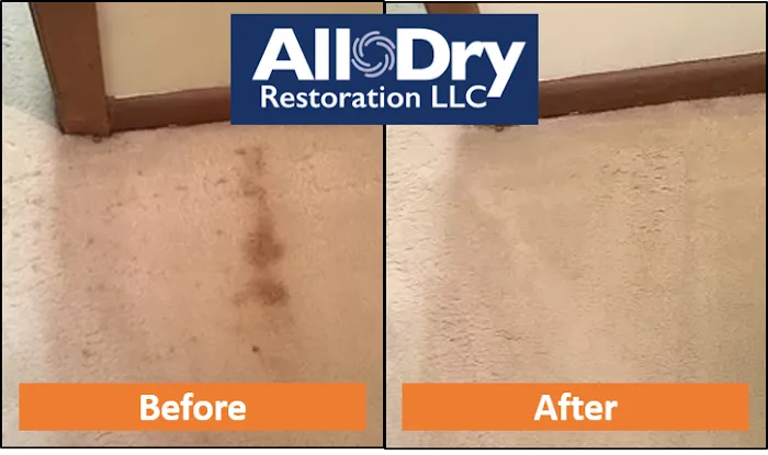 All Dry Restoration LLC Picture 5