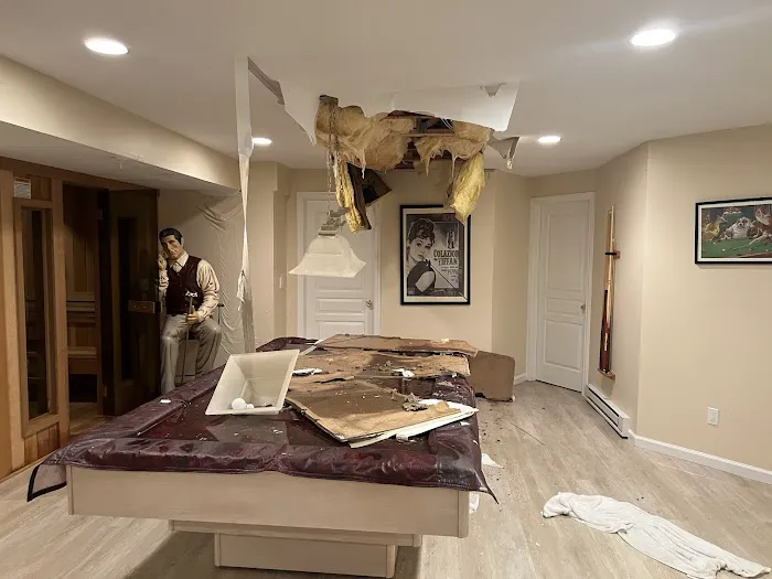 NY Fire Water Mold Picture 4