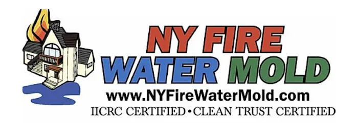 NY Fire Water Mold Picture 3