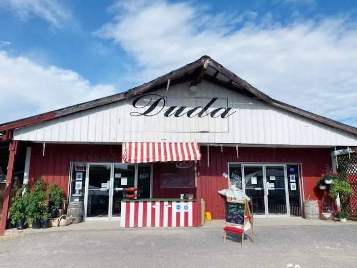 Flood Cleanup and Restoration Picture 4