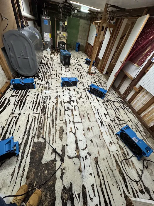 Voda Cleaning & Restoration of North New Jersey Picture 10