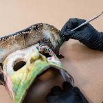 Prism Specialties Metro NY/NJ