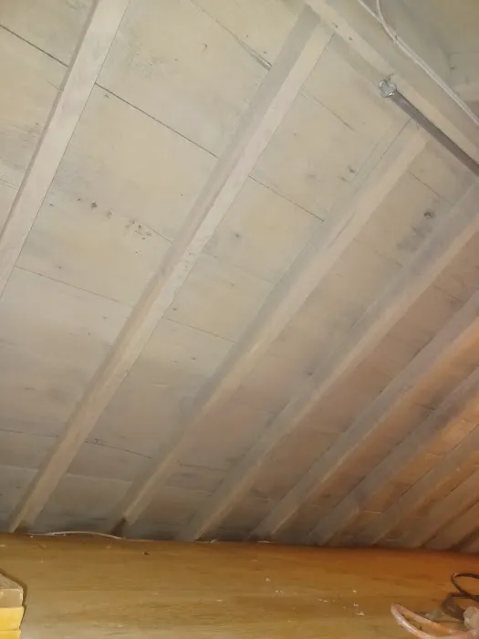 P&M Mold Pro Picture 10