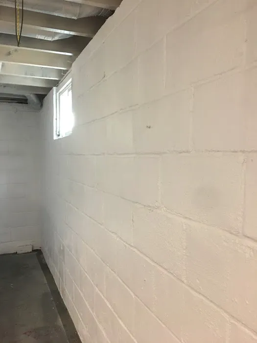 P&M Mold Pro Picture 4