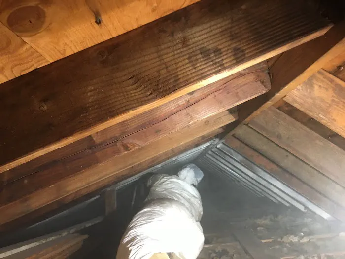 P&M Mold Pro Picture 8