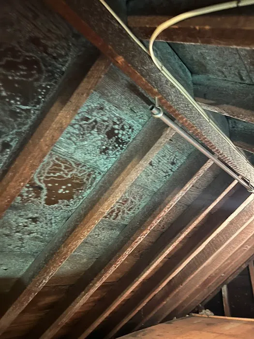 P&M Mold Pro Picture 3