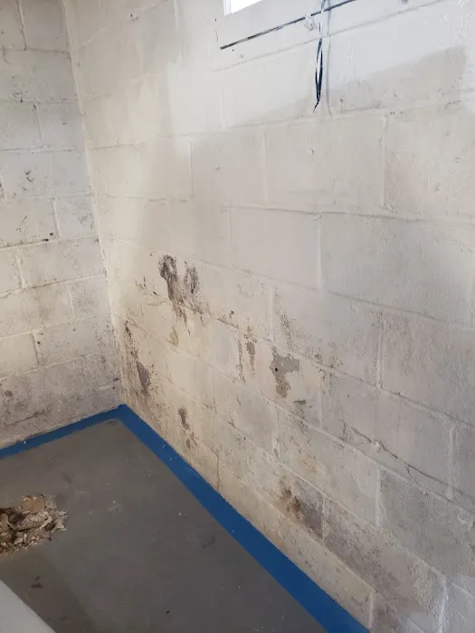 P&M Mold Pro Picture 5