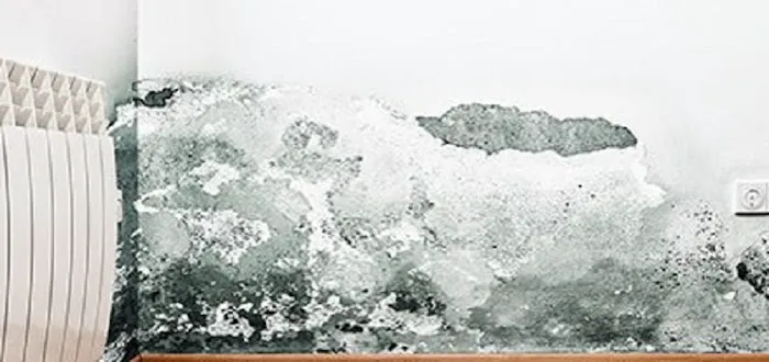 PuroClean of Garfield Picture 4