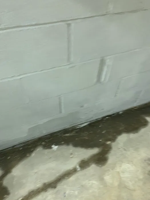 Schneck Waterproofing Limited Picture 6