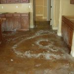 PuroClean of Middlesex