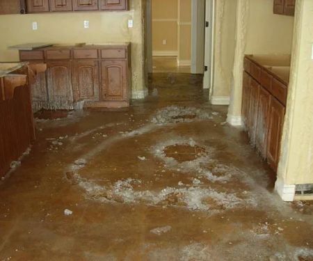 PuroClean of Middlesex